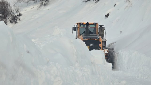 Muş ve Hakkari'de kapanan 5 yerleşim yerinin yolu ulaşıma açıldı