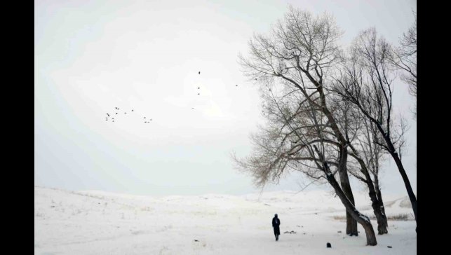 Termometreler Erzurum Tekman'da -25.2, Muğla Fethiye'de 15.3'ü gösterdi