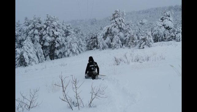 Aras Elektrik'ten kar, soğuk ve tipiye rağmen istikrarlı hizmet