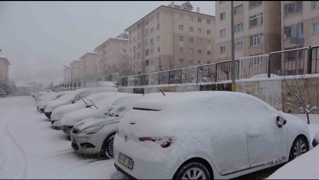 Van'da kar esareti: Uçak seferleri iptal oldu, 555 yerleşim yerine ulaşım sağlanamıyor