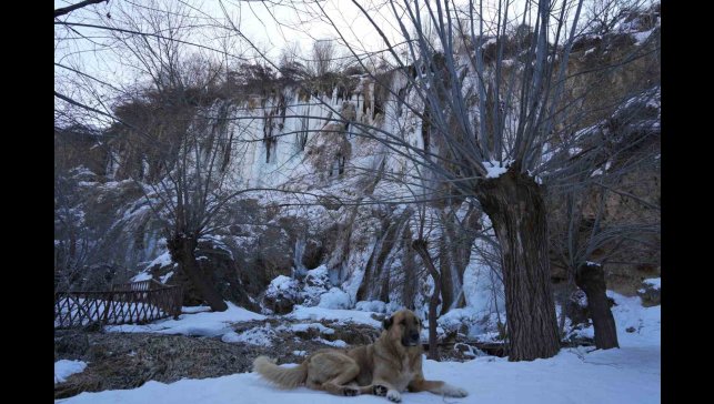 Buz tutan Girlevik Şelalesi'nde 2 metrelik buz sarkıtları oluştu