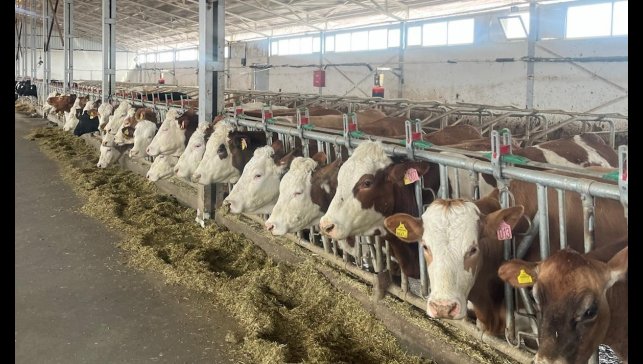 Erzincan'da 4 işletme arilik için başvurdu