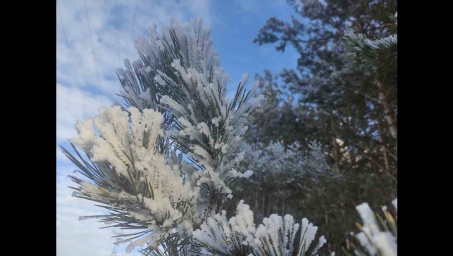 Göle eksi 32,1 derece ile rekor kırdı: Türkiye'nin en soğuk yerleşim yeri oldu