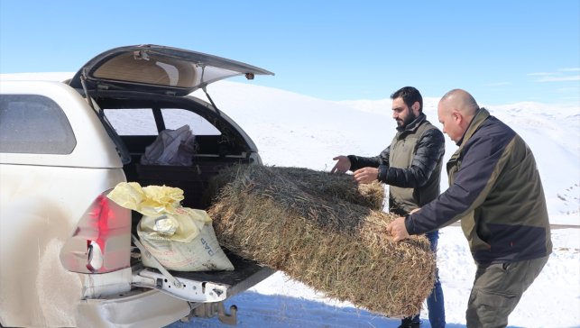 Doğudaki 8 ilde yaban hayvanları için 14 tondan fazla yem dağıtıldı