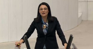 DEM Parti Milletvekili Nejla Demir, Ağrı’nın Sorunlarını Gündeme Getirdi