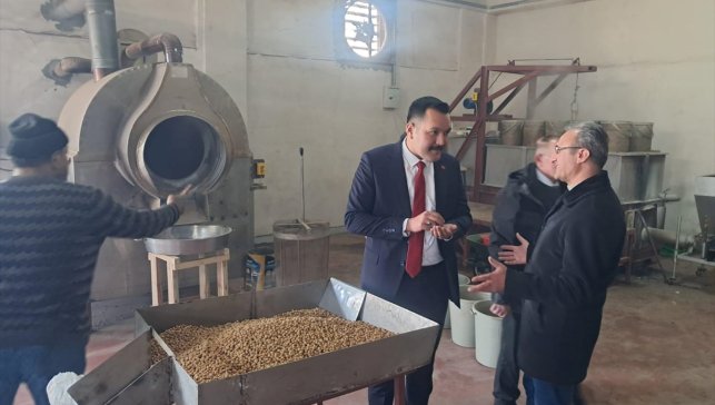 Ağın'da leblebi üretimi yapan işletmede inceleme