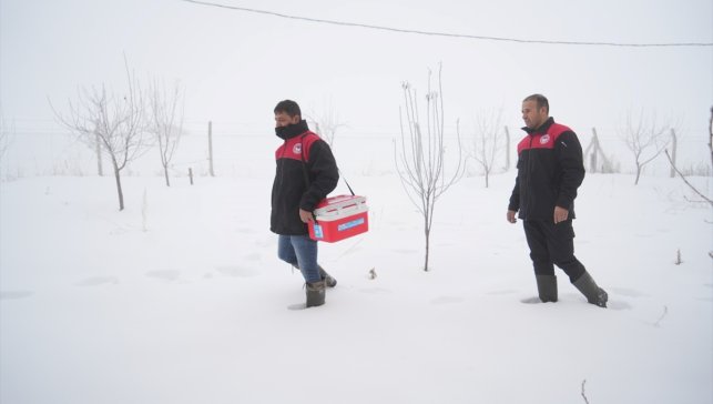 Muş'ta veteriner hekimler ağır kış koşullarında hayvanların aşılarını aksatmıyor