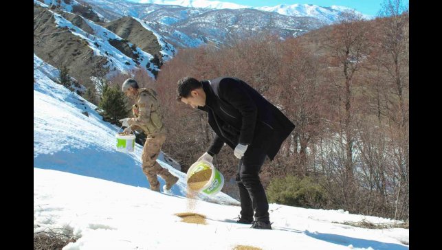 Genç'te yaban hayatı unutulmadı