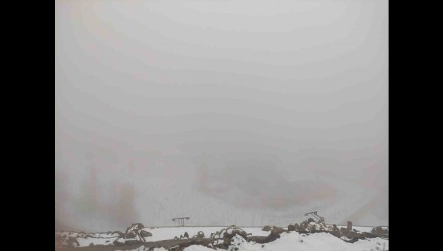 Ardahan sisle kaplandı: Göz gözü görmüyor