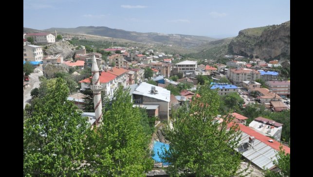 Çemişgezek'te koyun-keçi çiçek hastalığı görüldü