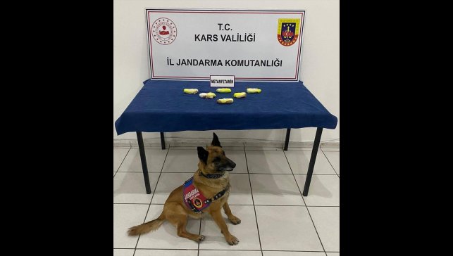 Kars'ta araçlarında uyuşturucu bulunan 2 zanlı tutuklandı