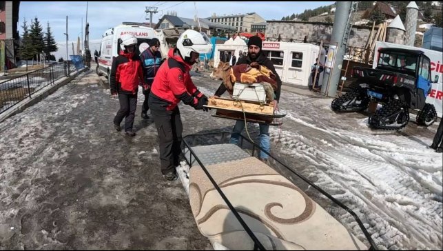 Hasta buzağısını kızakla getirdi, jandarma kar motoruyla geri götürdü