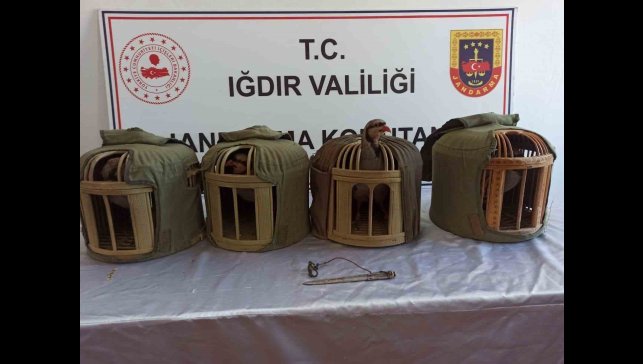 Iğdır'da kınalı keklik avcılarına 402 bin 825 lira ceza