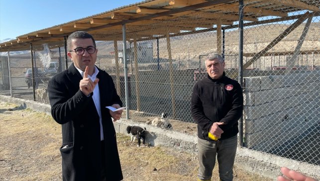 Kağızman Kaymakamı ve Belediye Başkan Vekili Daştan, hayvan barınağını inceledi