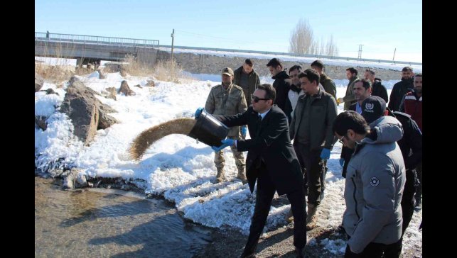Çaldıran'da yaban hayvanları için doğaya yem bırakıldı