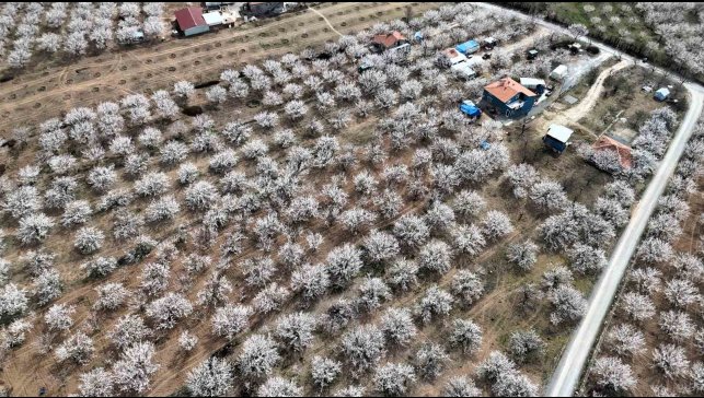 Malatya beyaz gelinliğini giydi