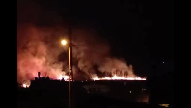 Van'da sazlık alanda yangın