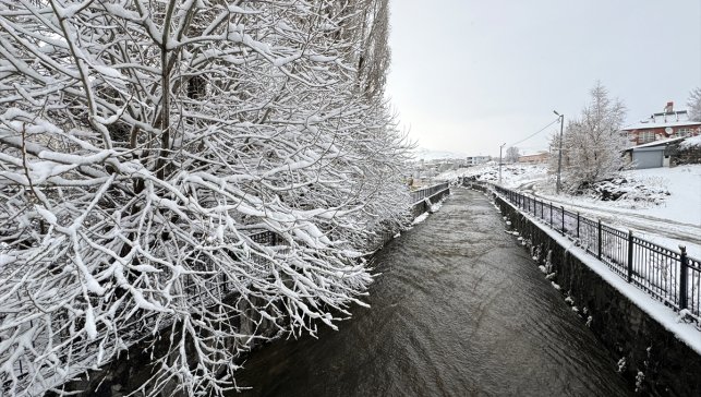 Erzurum, Ardahan, Kars ve Tunceli'de kar yağışı etkili oldu