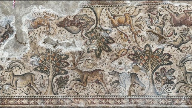 Salkaya'da arkeolojik kazı alanı genişliyor