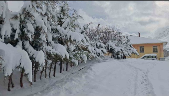 Tunceli'de kar yağışı hayatı olumsuz etkiliyor