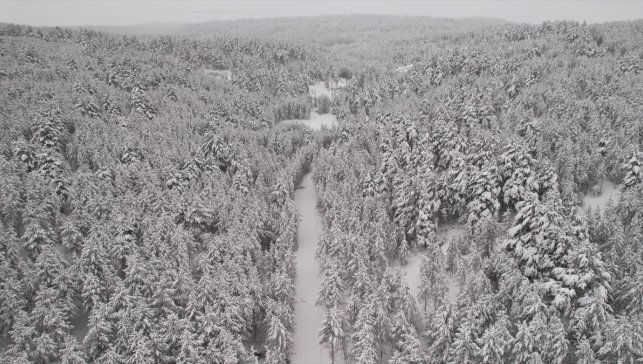 Kars, Ardahan ve Erzurum'da kar etkili oldu