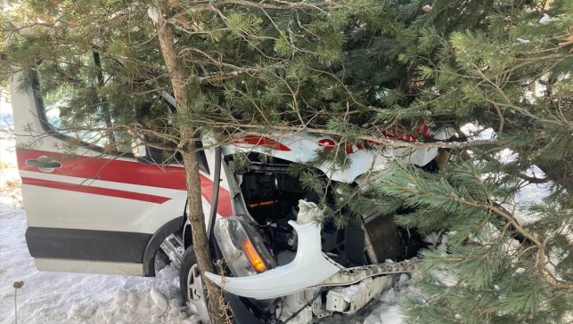Ardahan'da ağaçlara çarpan ambulanstaki 3 sağlık personeli yaralandı