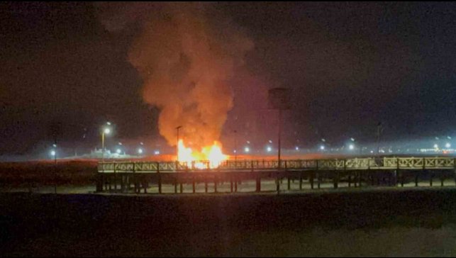 Van'da yaban kuşlarının barındığı sazlık alanda yangın