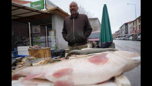 Erzincan'da Fırat balığı 250 TL'den alıcı buluyor