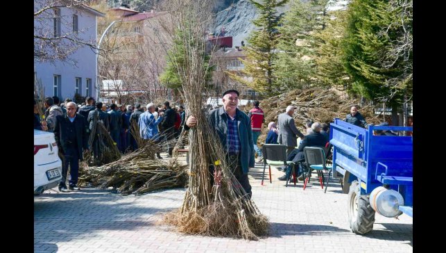 Çatak'ta çiftçilere yüzde 80 hibe ile fidan dağıtımı yapıldı
