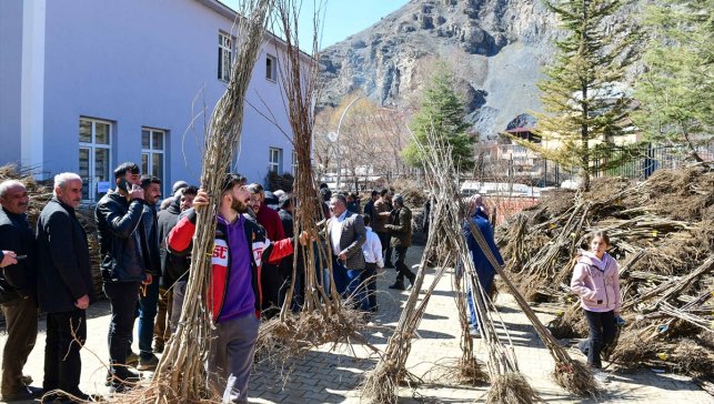 Çatak'taki çiftçilere meyve fidanı dağıtıldı