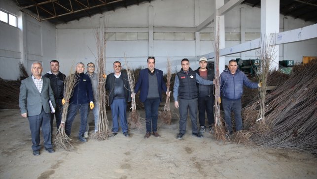 Erciş'te çiftçilere meyve fidanı dağıtıldı