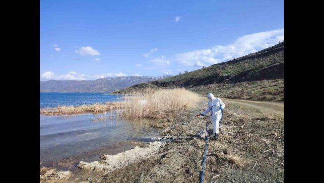 Elazığ'da sivrisinek ve karasineklerle mücadele sürüyor