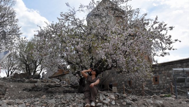 Van'da "3. Akdamar Adası Badem Çiçeği Festivali" sürüyor