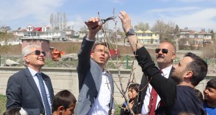 Tutak’ta Fidan Dikim ve Ağaç Budama Etkinliği Düzenlendi