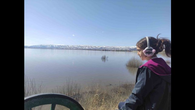 Kura Nehri taştı: Ardahan Ovası göle döndü