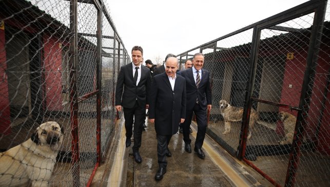İçişleri Bakan Yardımcısı Aktaş, Bingöl Belediyesi Hayvan Barınağı'nda incelemelerde bulundu: