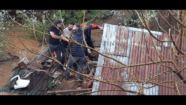 Bingöl'de sağanak felakete yol açtı: Su basan ahırda çok sayıda hayvan telef oldu
