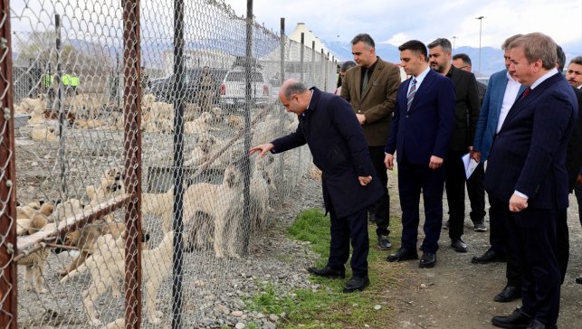 İçişleri Bakan Yardımcısı Aktaş Erzincan'da sahipsiz hayvanların yaşam alanını inceledi