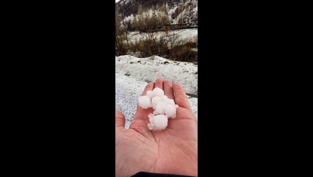 Ceviz büyüklüğünde yağdı, meyve ağaçları zarar gördü