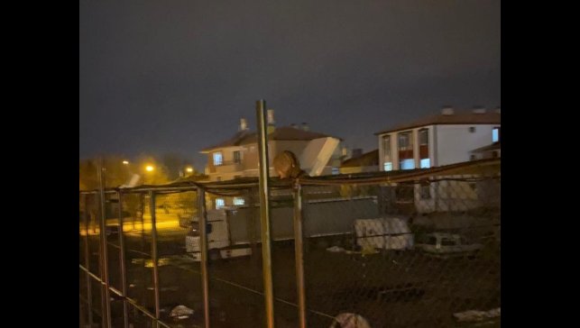 İtfaiyeden kedi kurtarma operasyonu