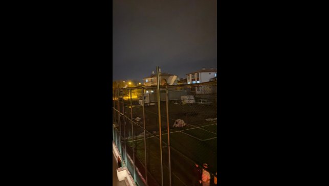 Erzincan'da aydınlatma direğinde mahsur kalan kediyi itfaiye kurtardı