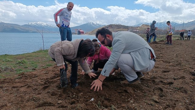 Bitlis'te badem fidanları toprakla buluşturuldu