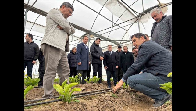 Erzincan heyeti Erbaa Kesme Çiçek Üretim Bölgesinde incelemede bulundu