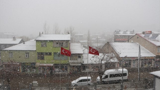 Karlıova'da kar yağışı etkili oldu