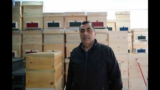 Arı ölümleri korkutuyor