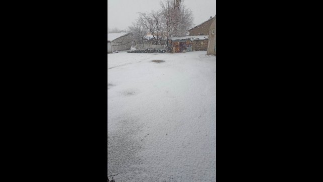 Bulanık'ta nisan karı şaşırttı