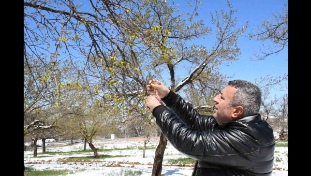 Malatya'da zirai don felaketi
