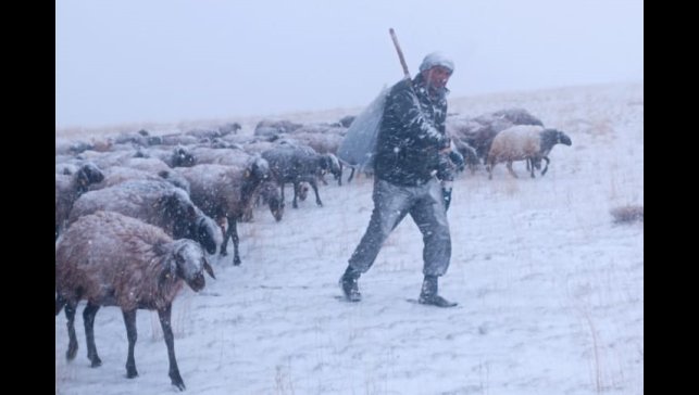 Ağrı'da kar yağışı hayatı felç etti