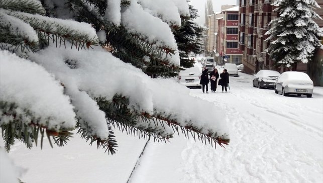 Kars'ta aralıklarla etkili olan kar, etrafı beyaza bürüdü