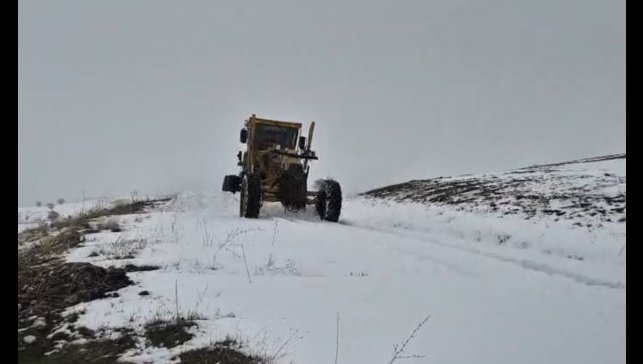 Muş'ta kar yağışı: 55 köy yolu ulaşıma kapandı